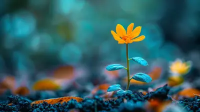 How to Cultivate Resilience as a Leader
