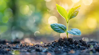 How to Cultivate Resilience as a Leader