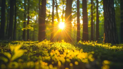 Nature as a Coping Mechanism: The Healing Power of the Outdoors