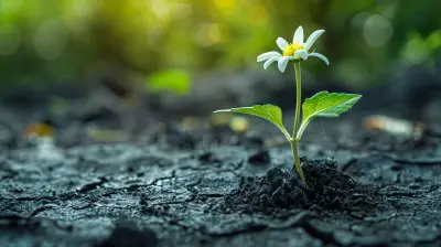 Why Failure is an Opportunity to Grow Your Emotional Resilience