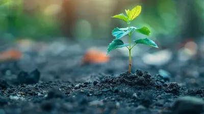 Why Failure Is An Opportunity To Grow Your Emotional Resilience