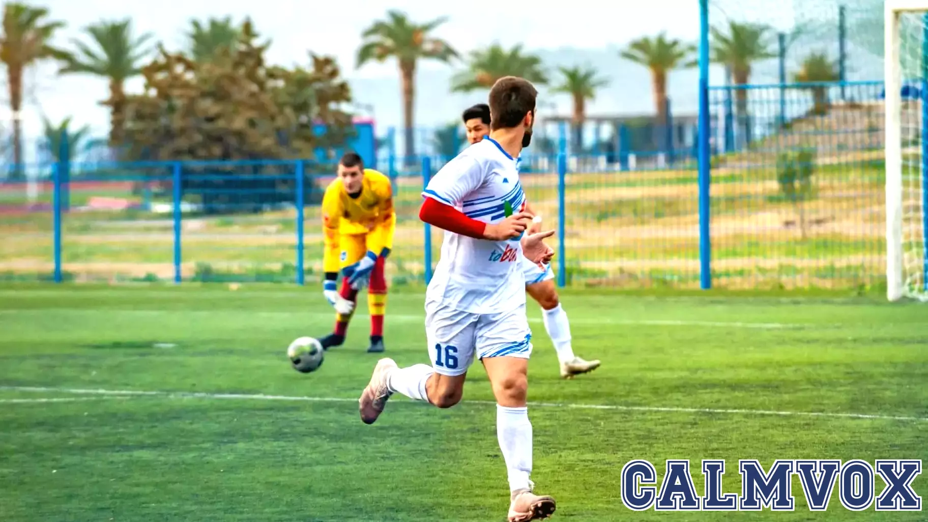 Are Athletes Better at Perceiving Colors?