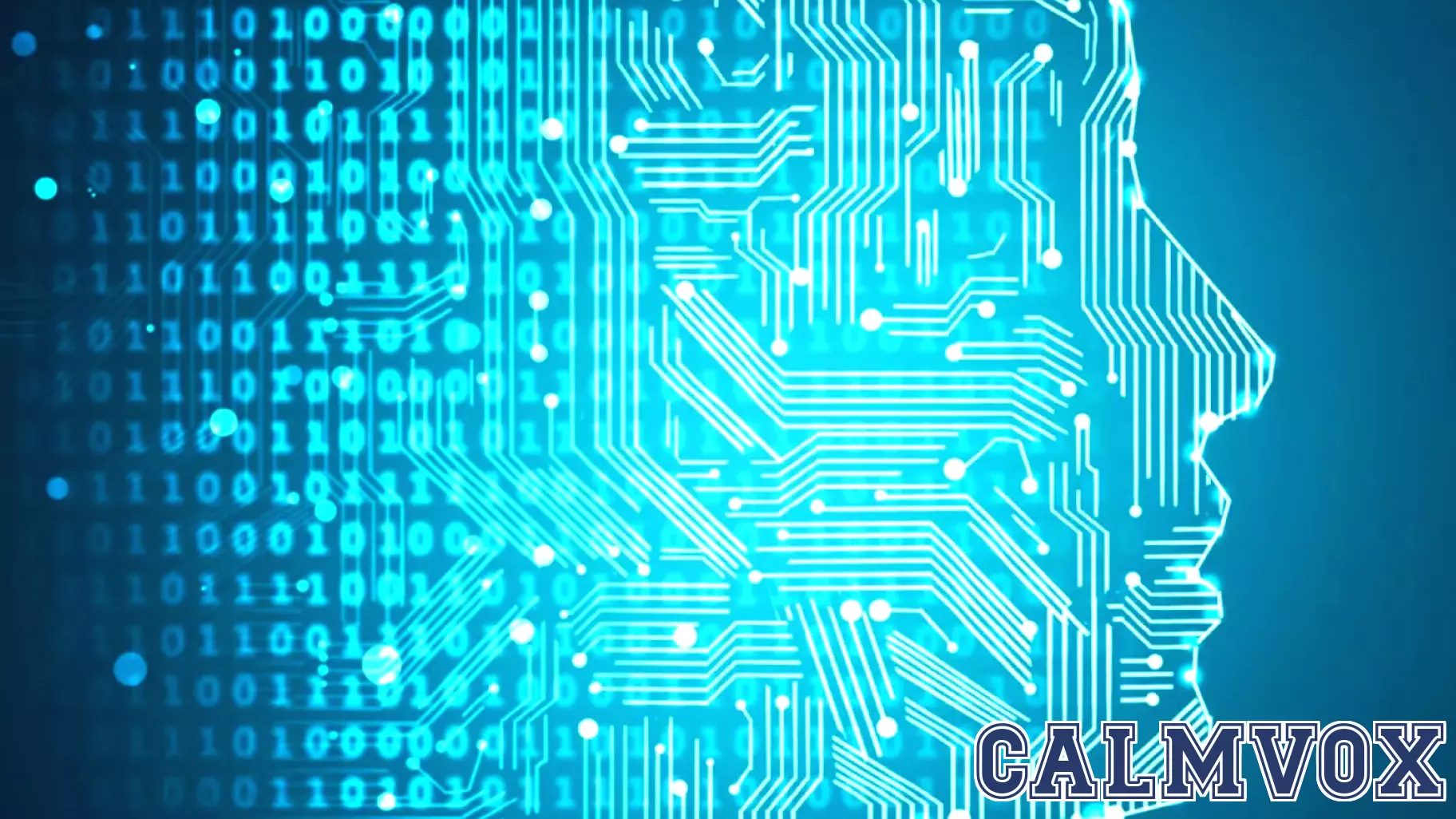 Challenging the Simulation Hypothesis: A Personal Perspective