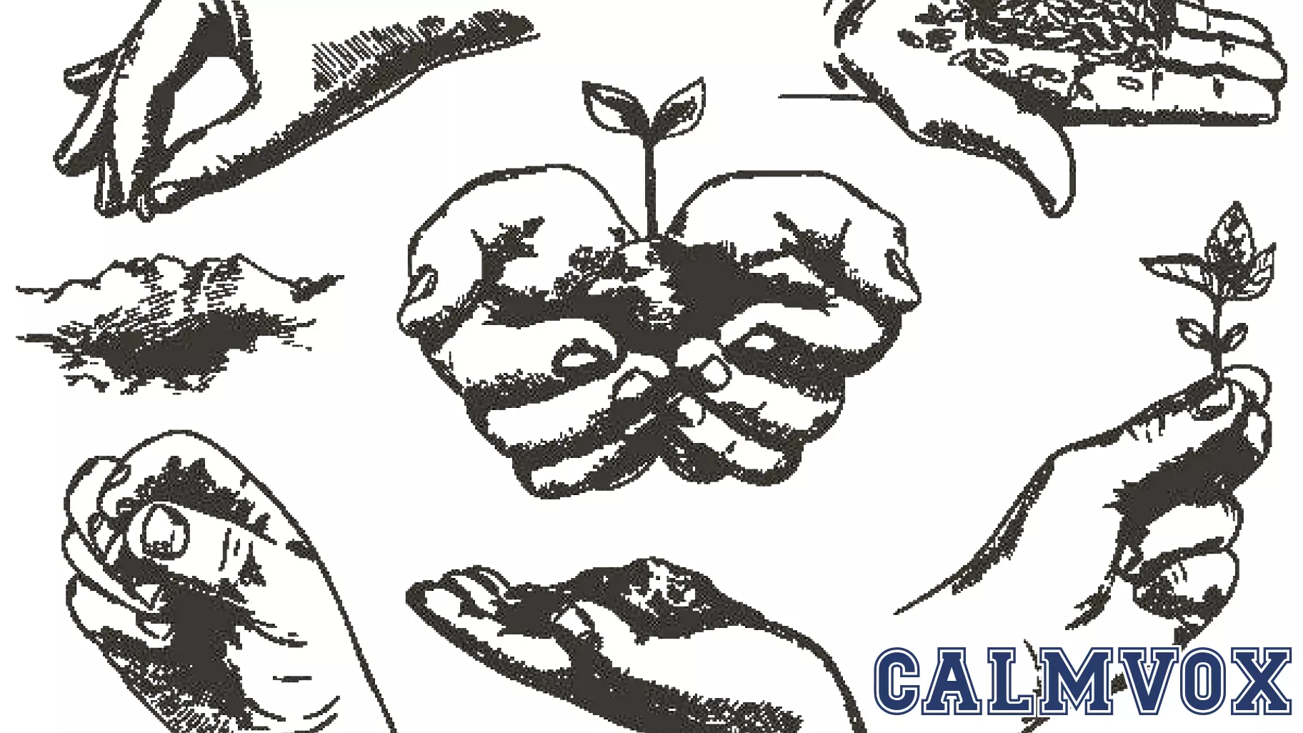 Embracing a Balanced Life: Gentle Discipline for Personal Growth