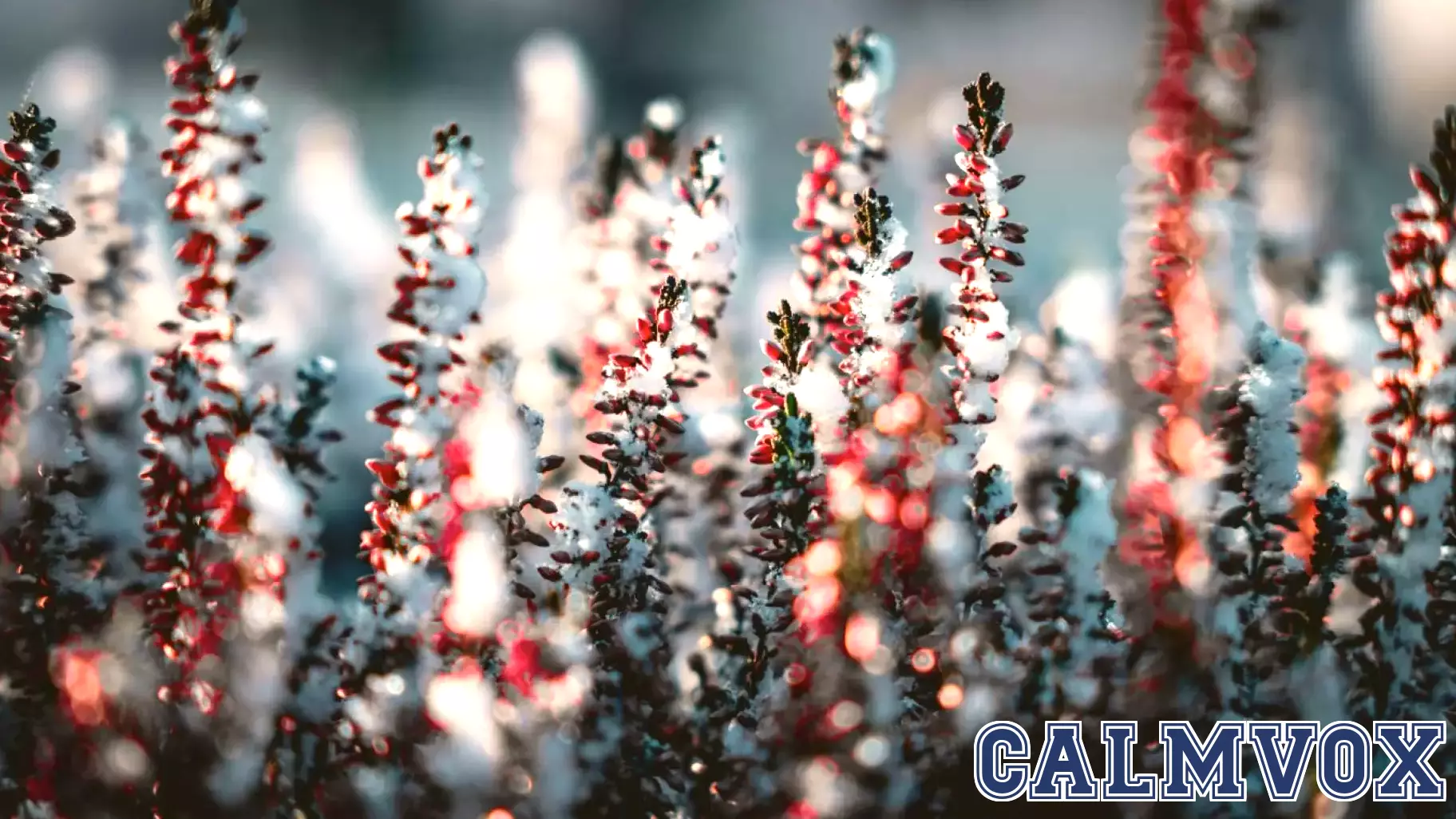 Embracing Kindness for a Fresh Start to the New Year