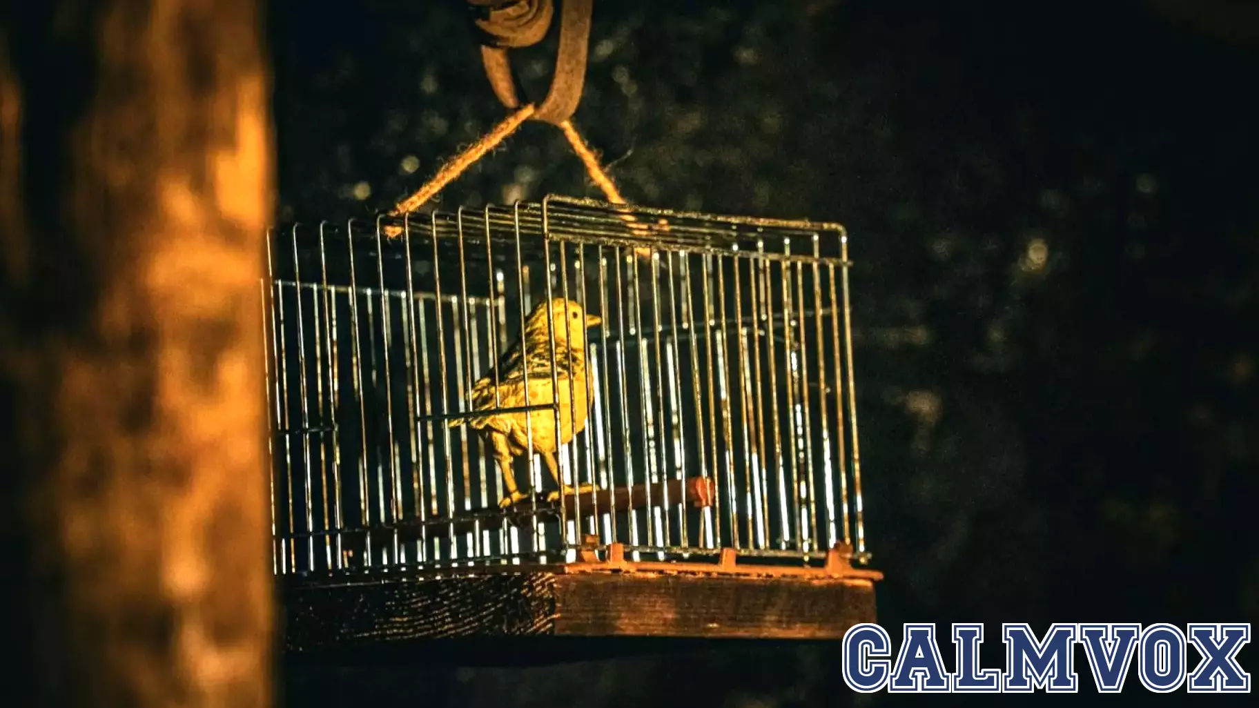 Escaping the Tragedy of the Separating Mind