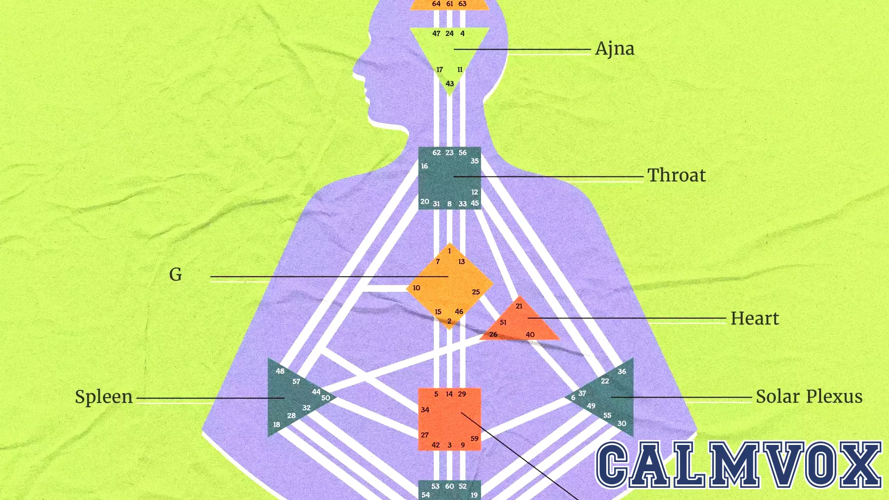 Exploring Human Design: A New Approach to Personality Insights
