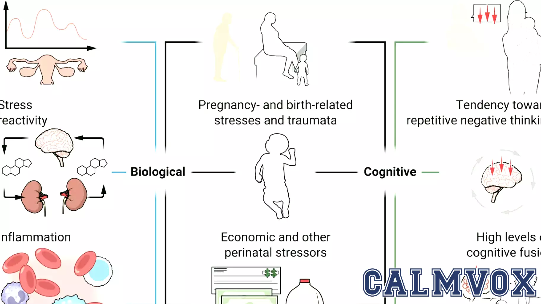 Exploring the Causes of Perinatal Intrusions: A Psychological Perspective
