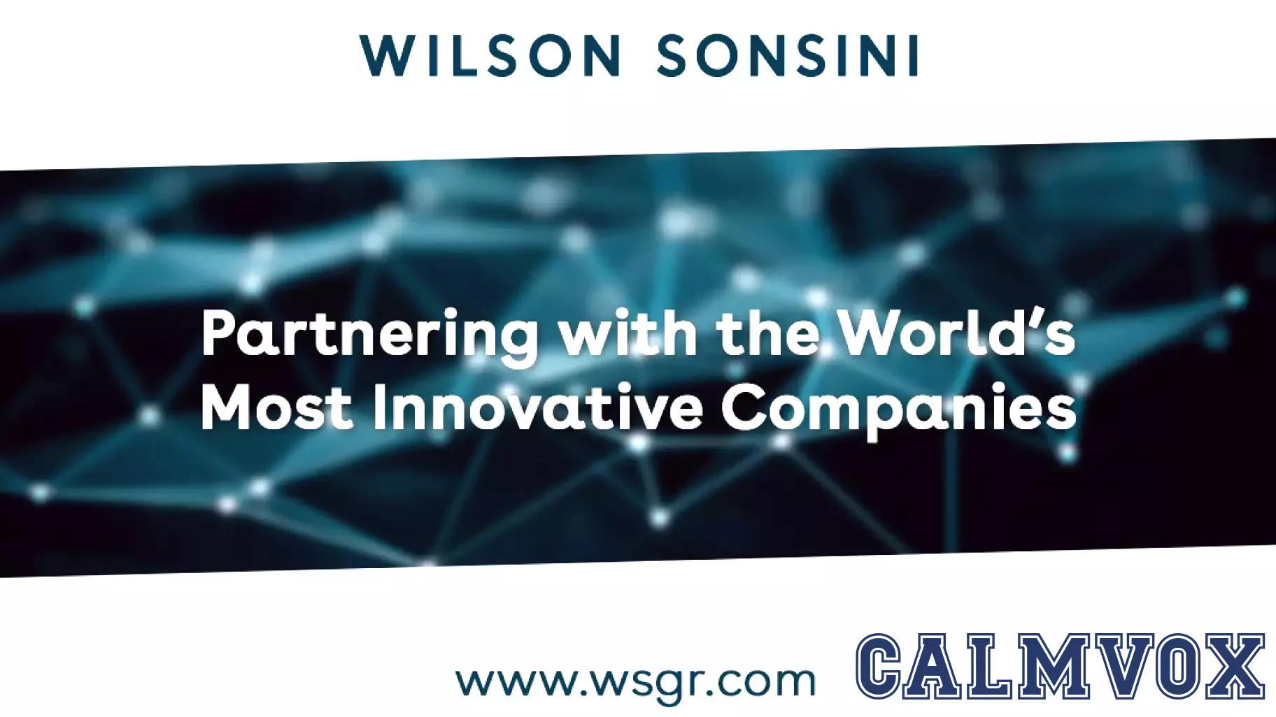 FounderNexus | Founder Blind Spots: The Psychology of Outliers