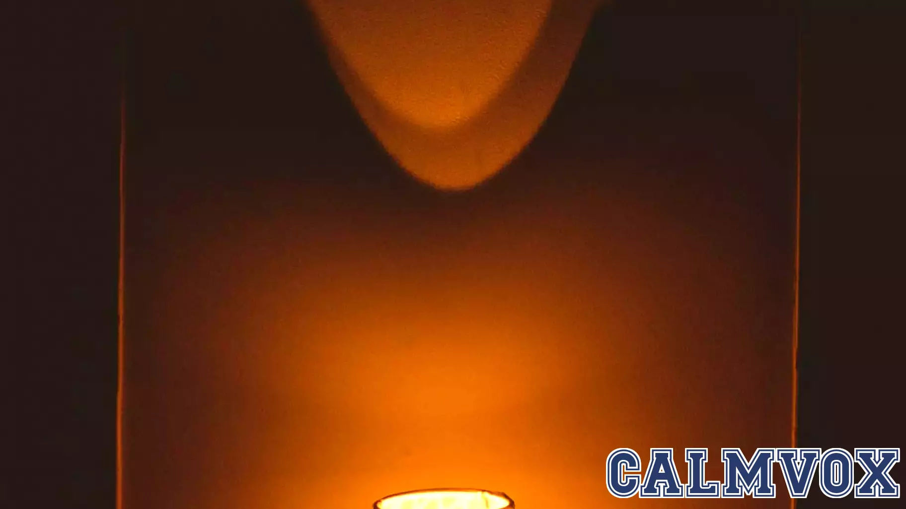 How Gaslighters Con Their Partners into Believing Them