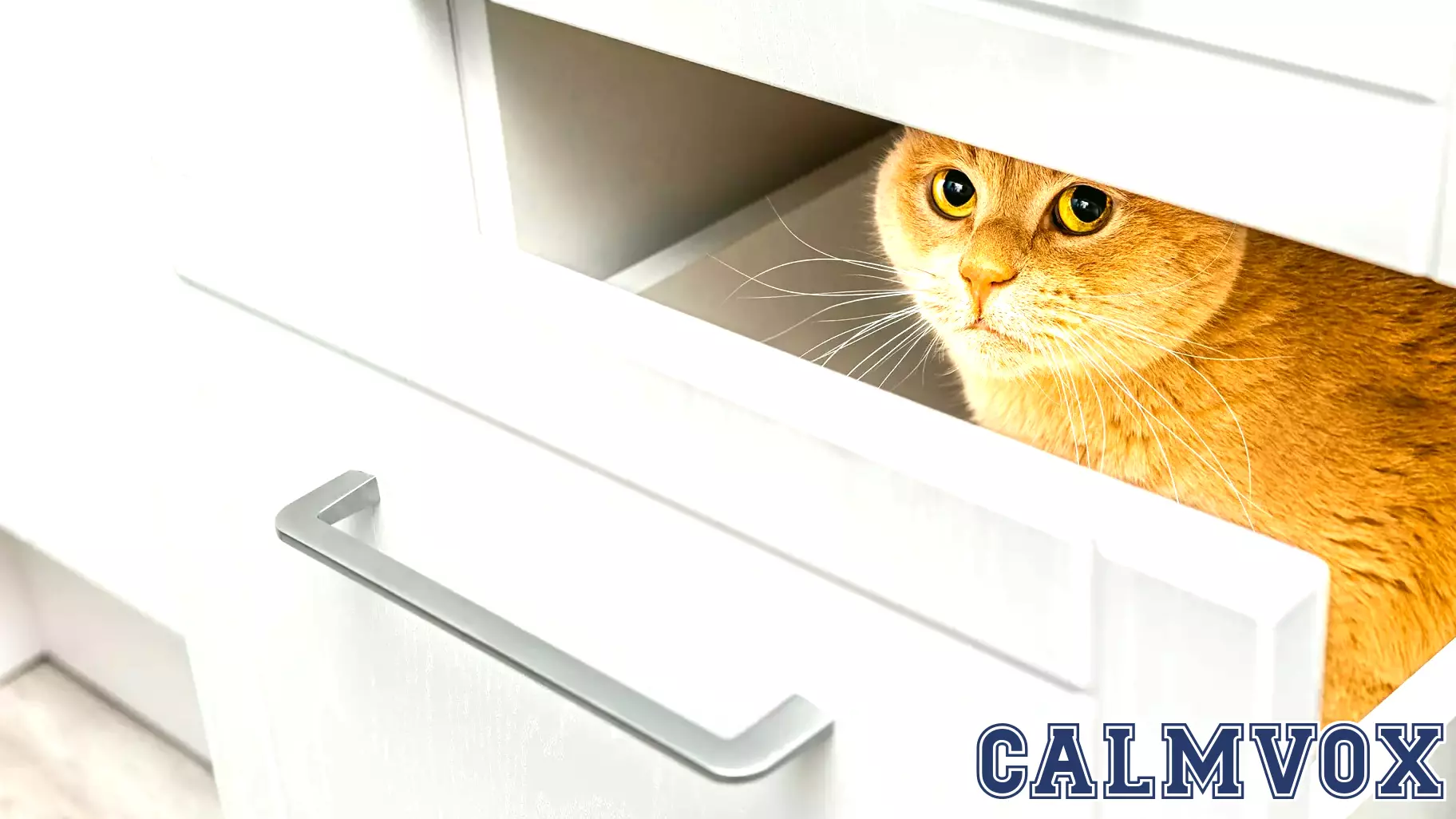 Leaders Feel Their Agency Eroding—and They’re Starting to Withdraw