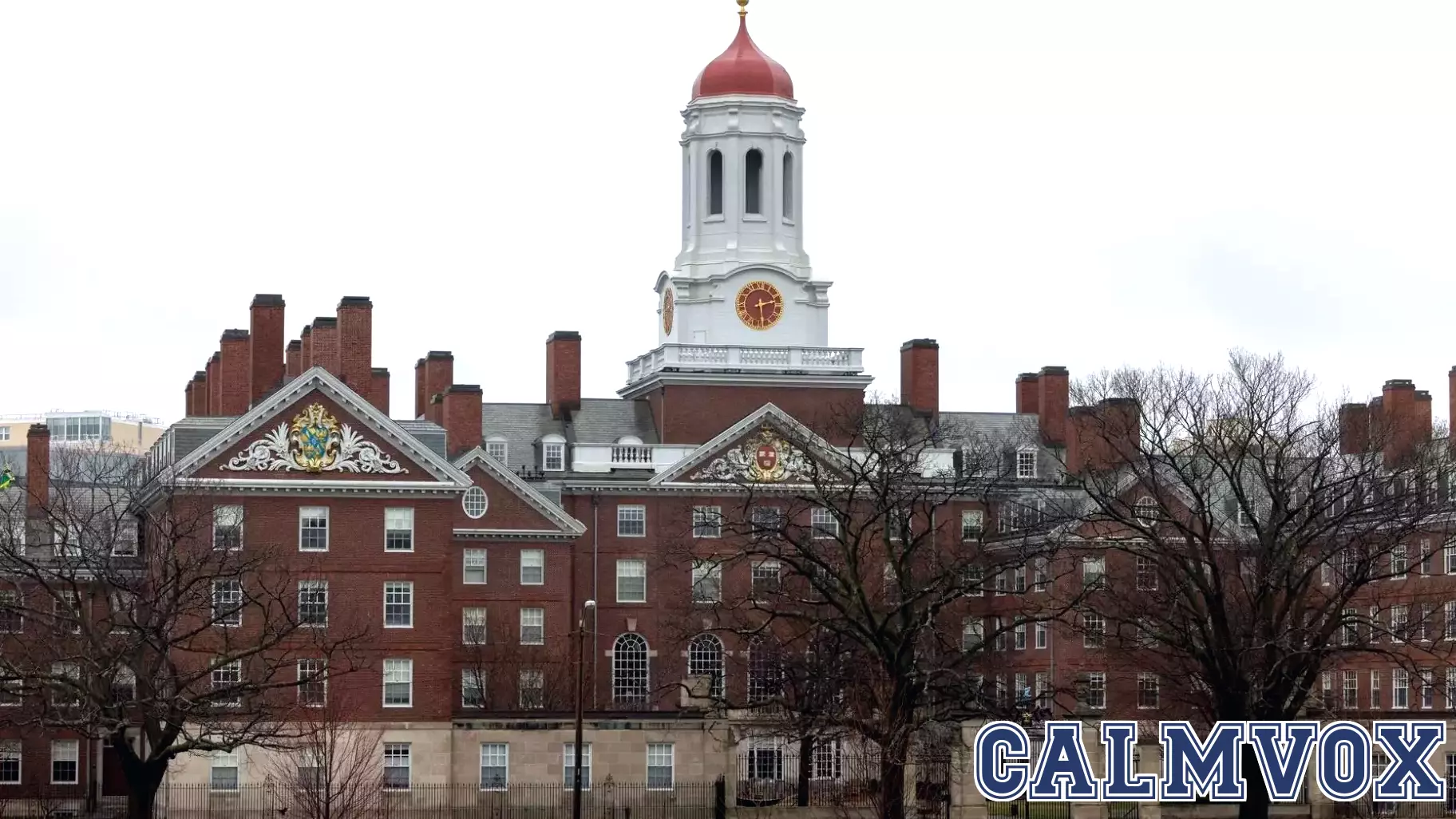 Navigating Market Mania: Harvard's Guide to Investing in Irrational Times