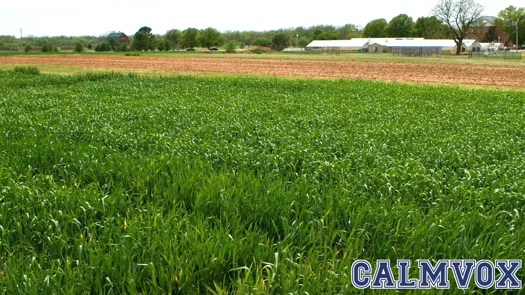 OSU staking its claim on the forefront of rural behavioral health efforts