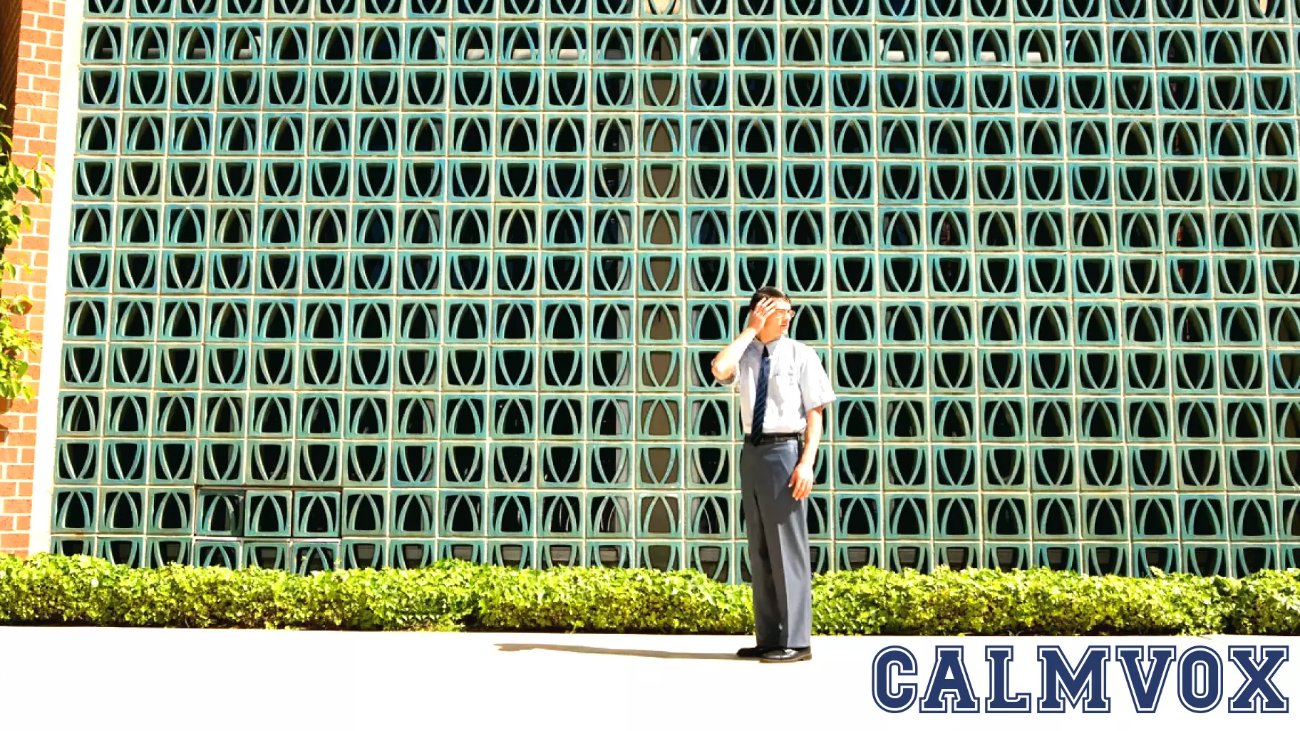 Overcoming Persistent Job Security Fears
