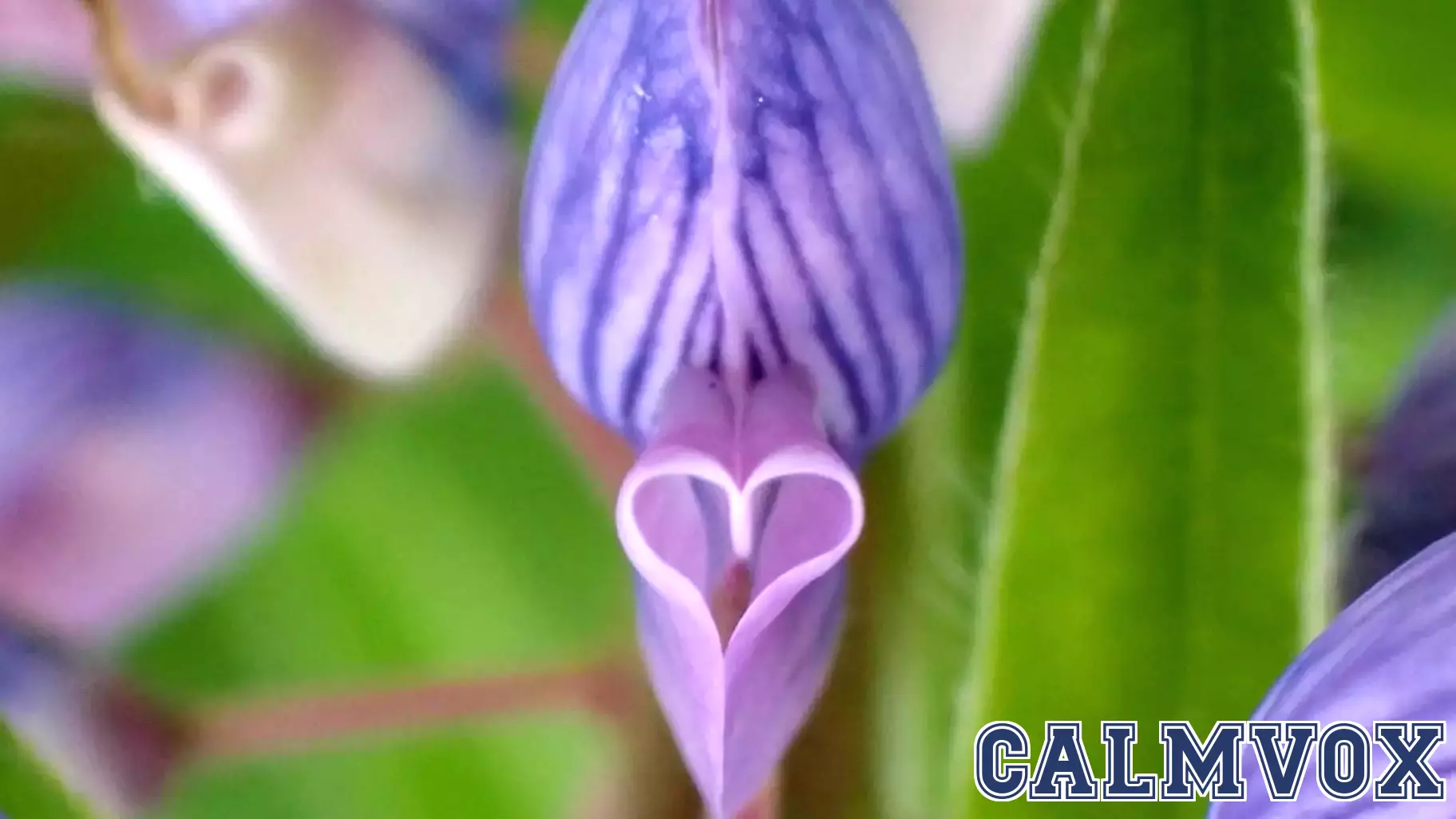 Personal Perspective: A Simple Act of Kindness Sparks Meaningful Connection