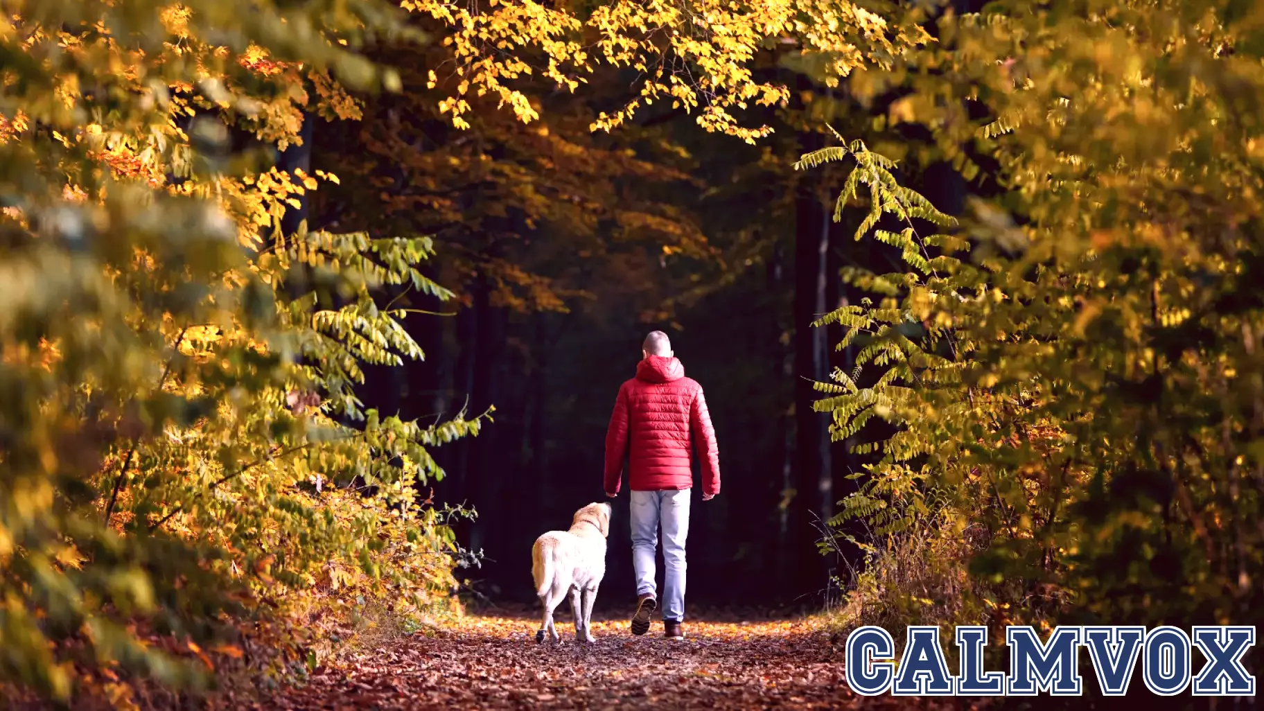 Psychology suggests spending just two hours in nature each week may improve health and wellbeing, even across shorter visits
