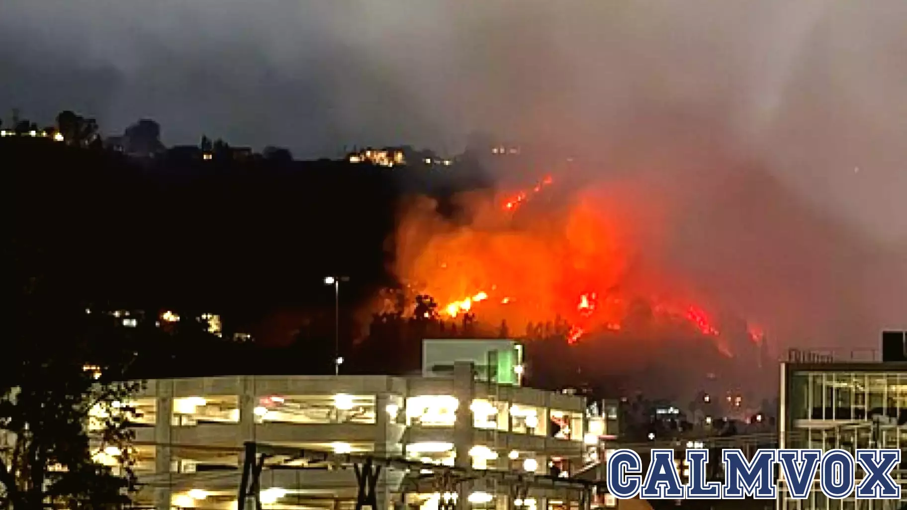 Resilience in the Wake of Wildfires