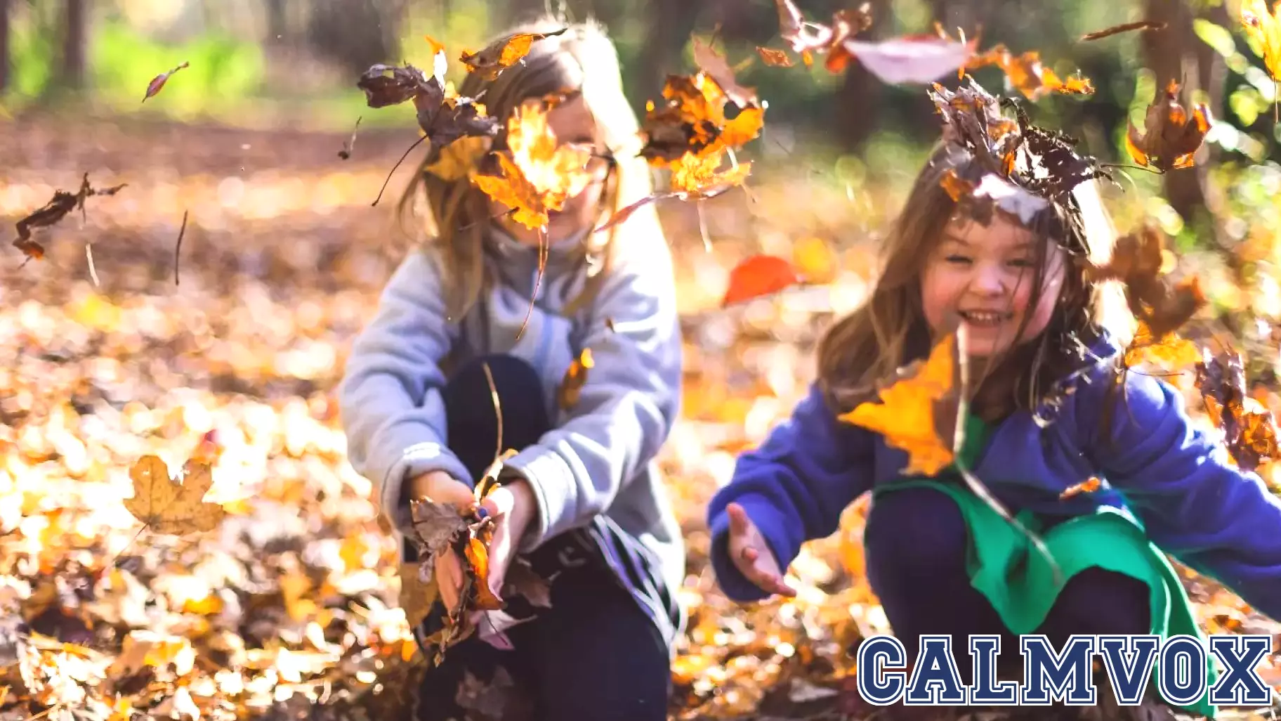 Reviving Learning Through Sensory Engagement