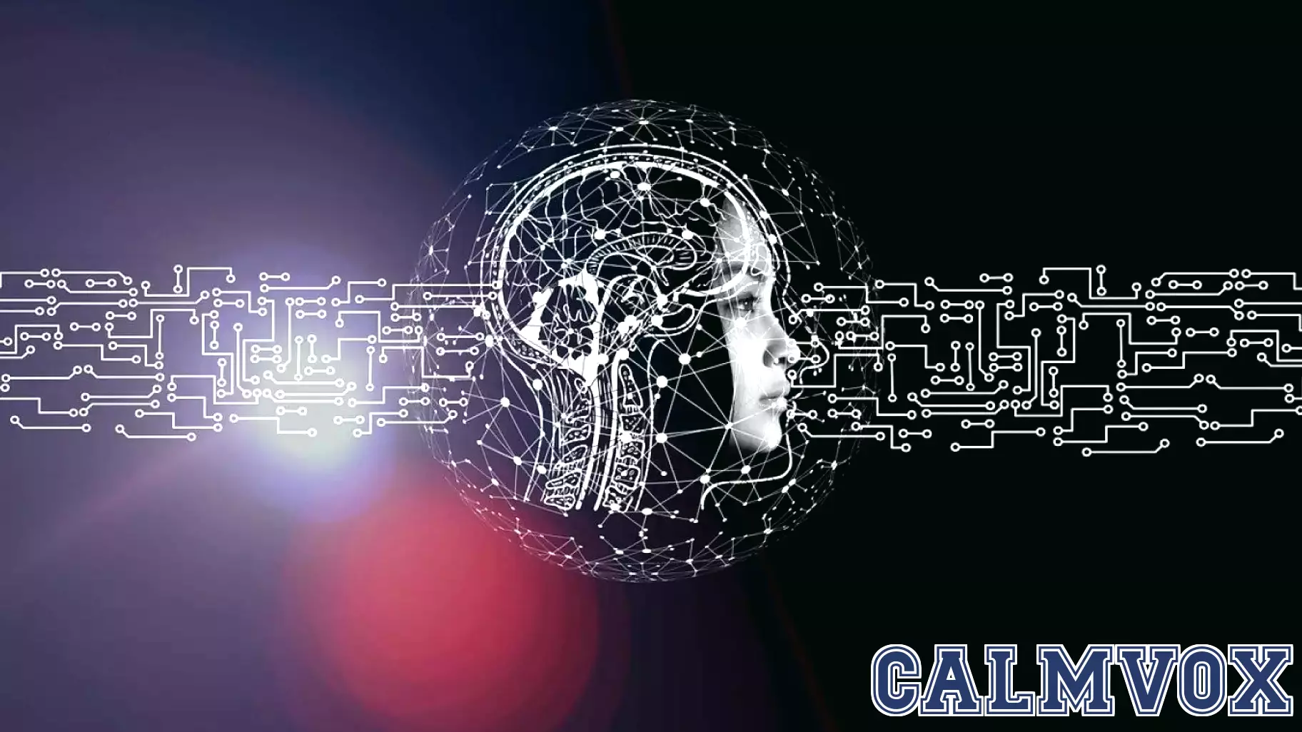 The Emotional Impact of AI in the Workplace
