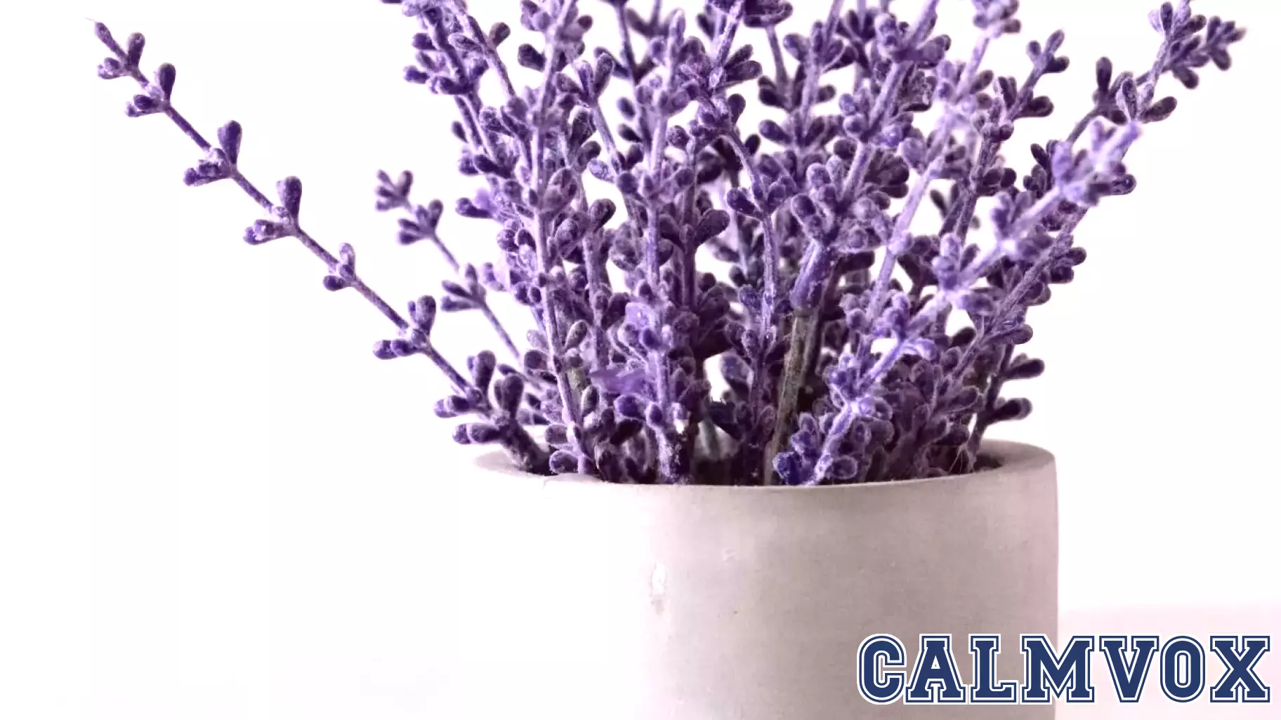 The Impact of Scents on Your Daily Life