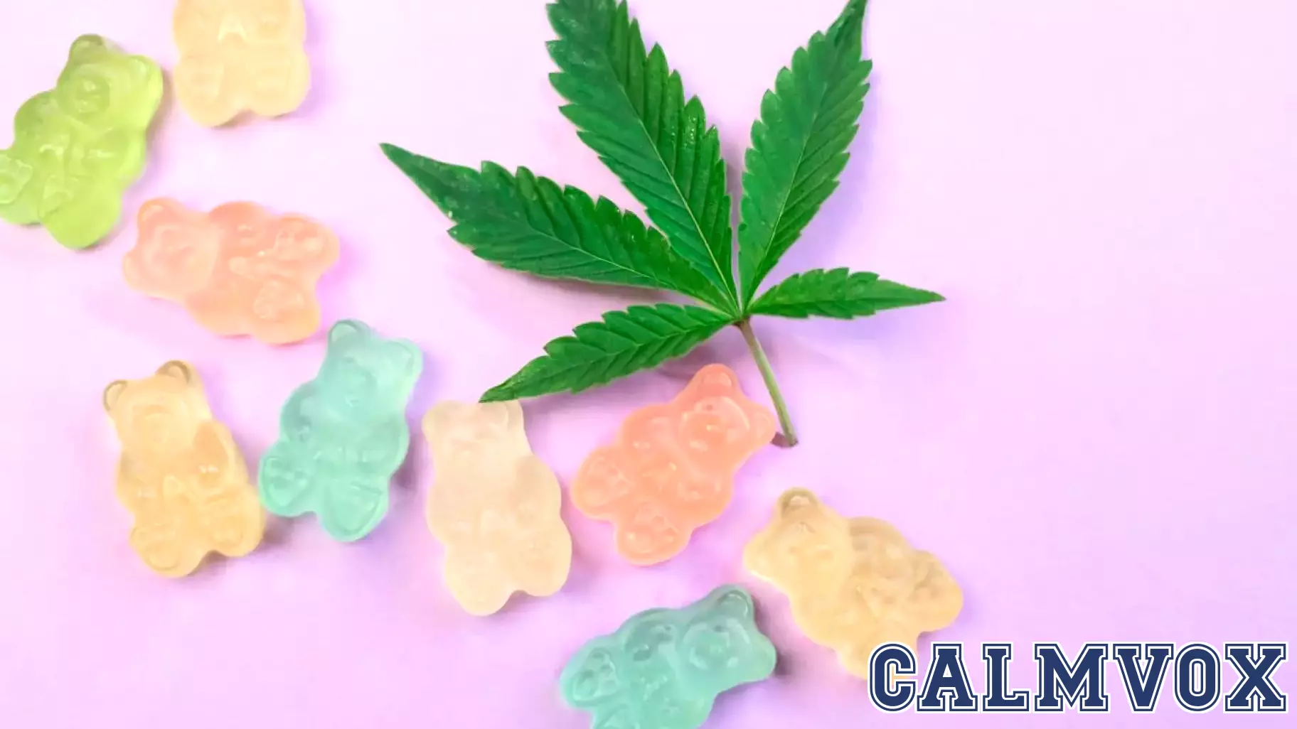 The Intersection of Cannabis Culture and Brain Science