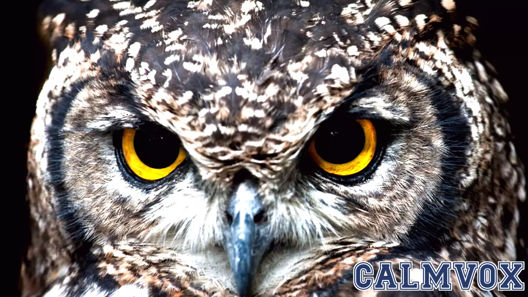 The Positive Aspects of Aging: Kindness and Wisdom