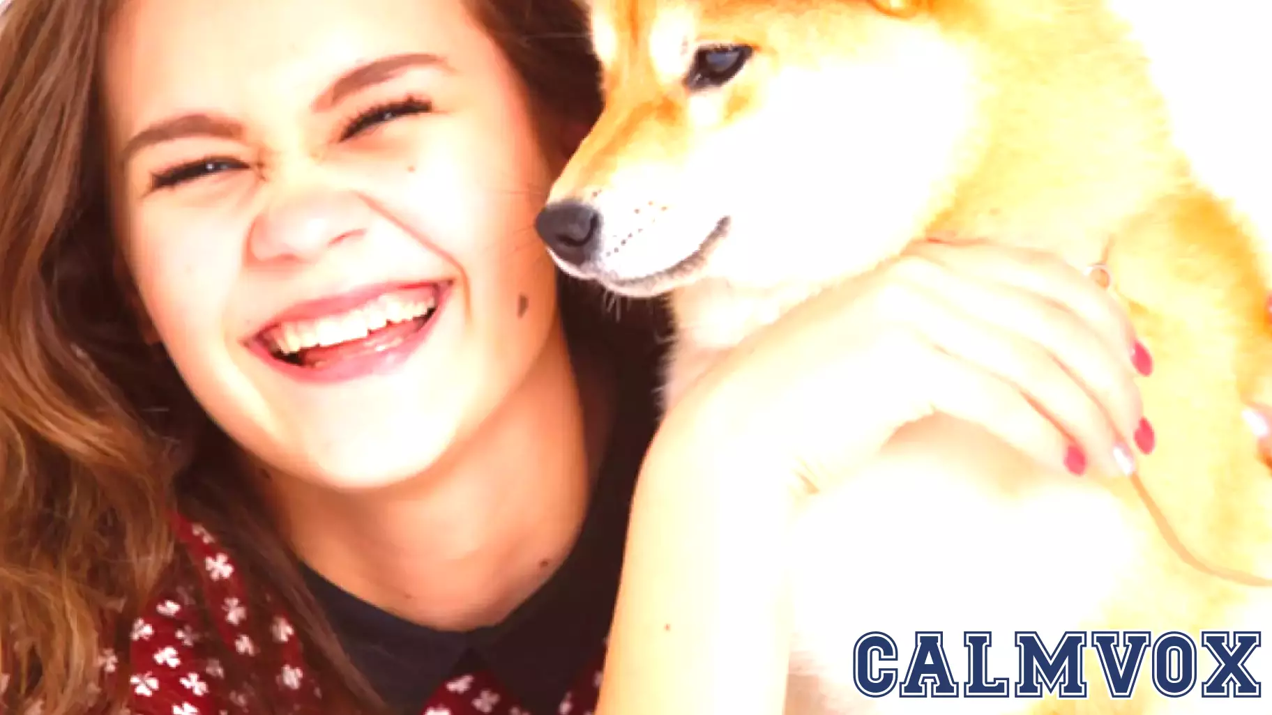 The Positive Impact of Spending Time with Dogs on Emotional Well-Being