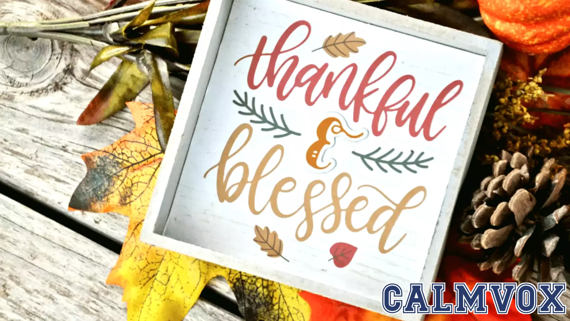 The Power of Gratitude: Insights from Psychology Experts