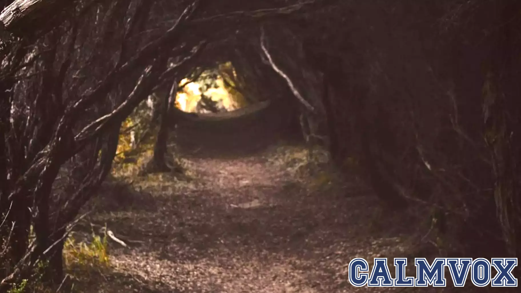 The Power of Imagination in Overcoming Darkness in 