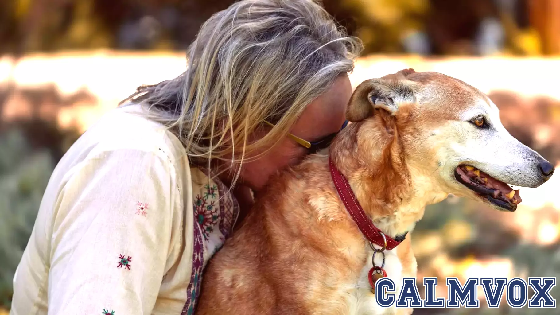 The Silent Witness: Why Losing a Dog Hurts More Than Anyone Warned You