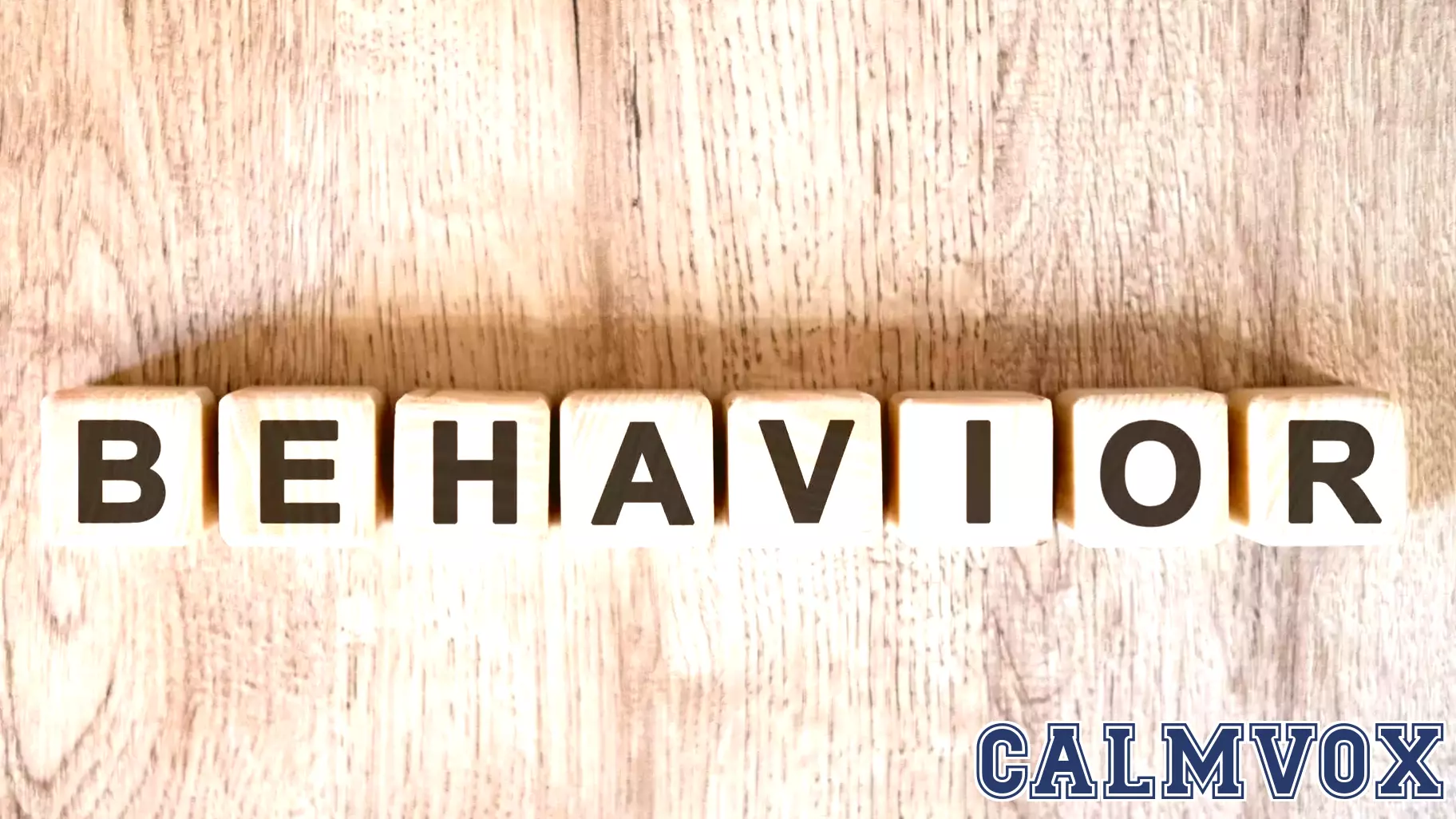 Understanding Society's Influence on Behavior Change