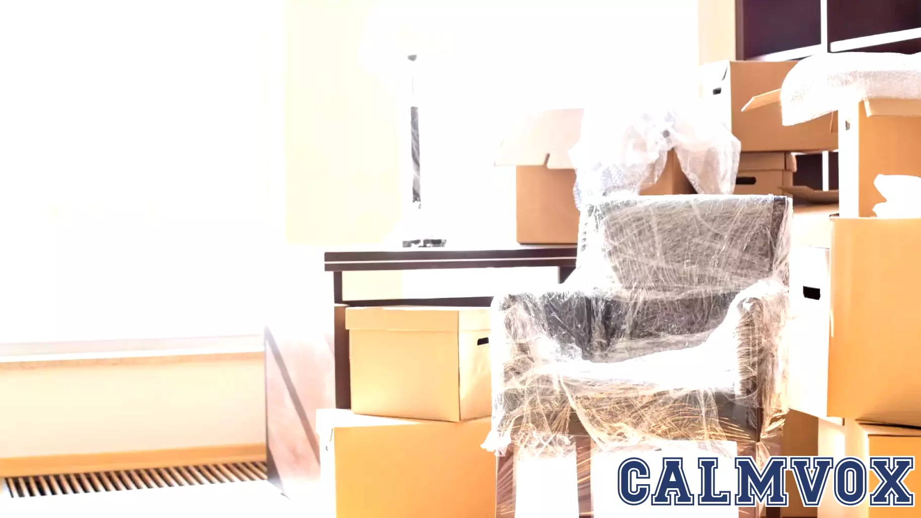 Unpacking the Psychological Reasons Behind Plastic-Wrapped Furniture