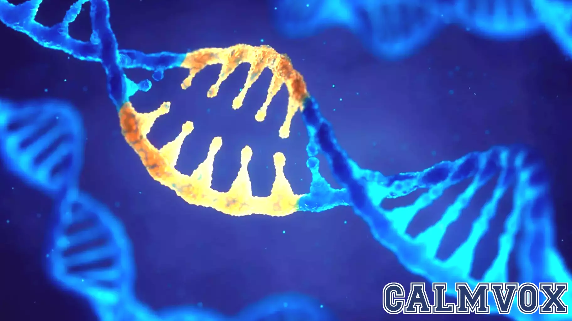 Unraveling the Genetic Complexity of Autism