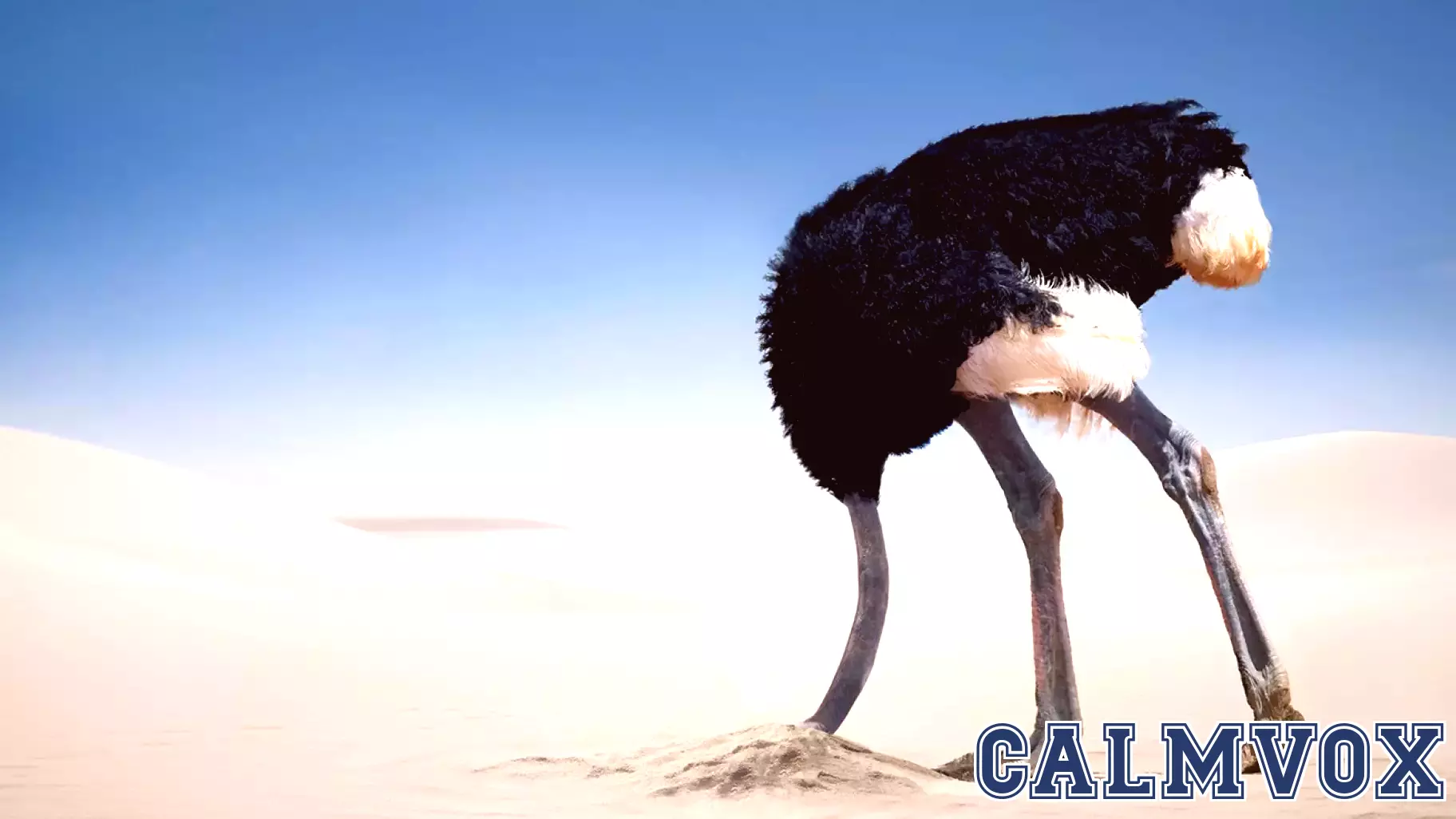 Unraveling the Origins of the 'Ostrich Effect'