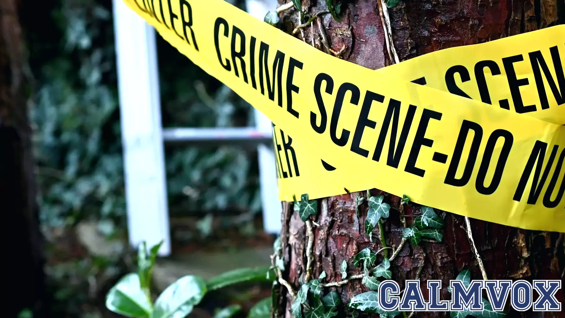 Why are we so obsessed with true crime? Hint: It’s not just morbid curiosity