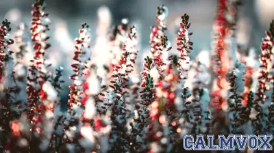 Embracing Kindness for a Fresh Start to the New Year