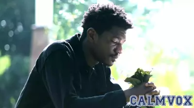 Emotional Memory: Understanding Why We Remember Feelings Over Facts