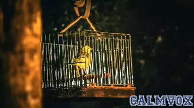 Escaping the Tragedy of the Separating Mind