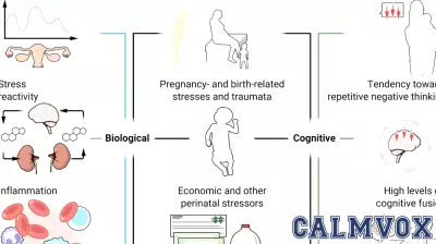 Exploring the Causes of Perinatal Intrusions: A Psychological Perspective