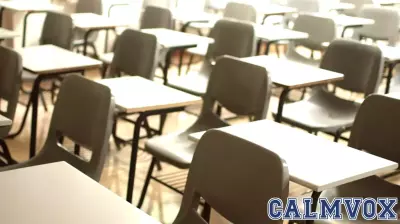 Fostering Connection and Mental Wellness in Students