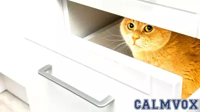 Leaders Feel Their Agency Eroding—and They’re Starting to Withdraw