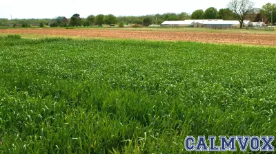 OSU staking its claim on the forefront of rural behavioral health efforts