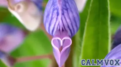 Personal Perspective: A Simple Act of Kindness Sparks Meaningful Connection