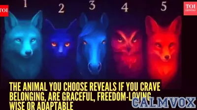 Psychology-based personality test: Wolf, cat, horse, owl or fox? The animal you choose reveals if you crave belonging, are graceful, freedom-loving, wise or adaptable