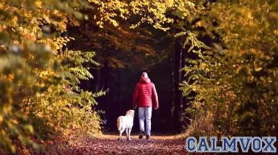 Psychology suggests spending just two hours in nature each week may improve health and wellbeing, even across shorter visits