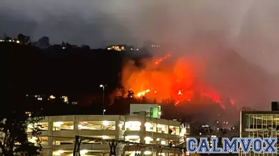 Resilience in the Wake of Wildfires