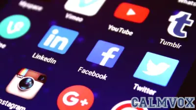 Social Media and Social Networking for Social Scientists