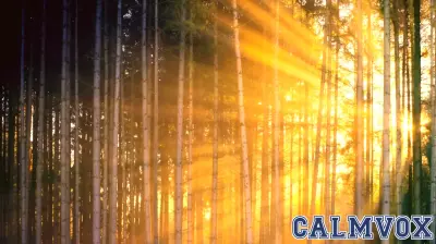 The Cave You Didn't Build