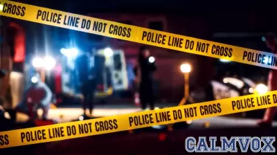The Complex Dynamics of Political and Revenge Killings