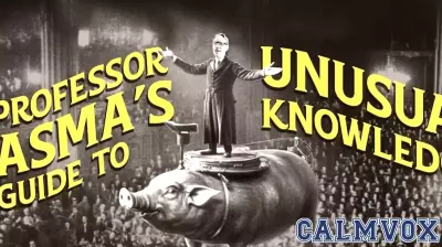 The Fascination with Fear: Understanding Our Love for Monsters and Horror